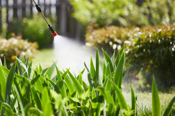 24/7 Emergency Cockroach Control experts in Circleville, OH