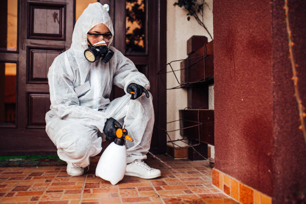 Reliable Cockroach Control contractor in Circleville, OH by Nex Pest Control