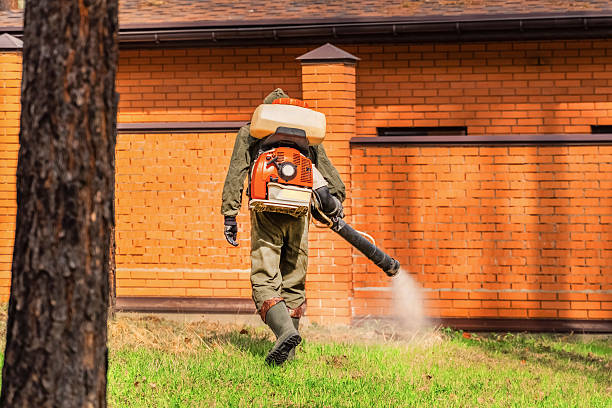 Top rated local Cockroach Control specialists in Circleville, OH